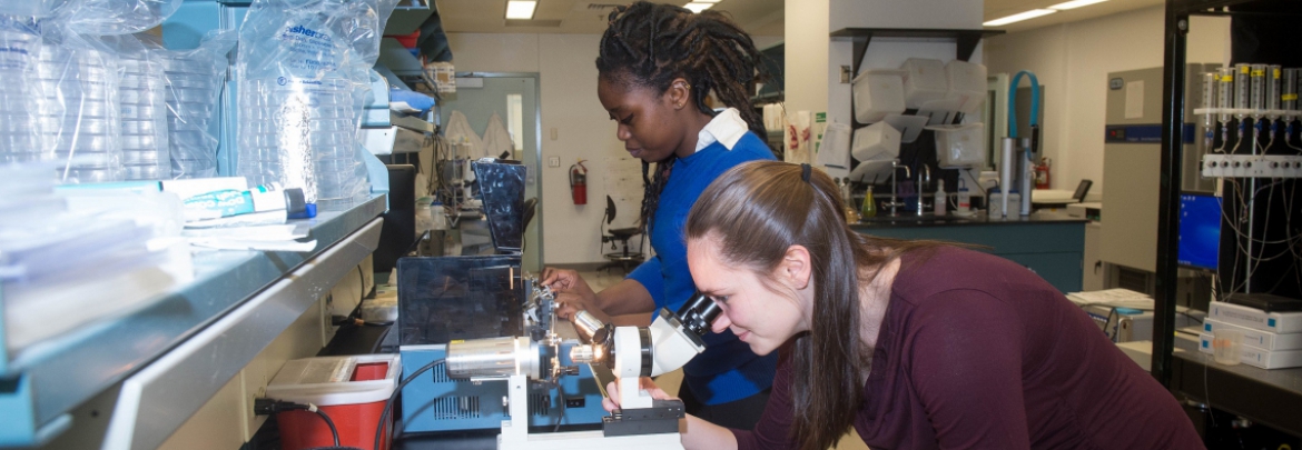 Two students in the performing scientific research with advanced microscopes